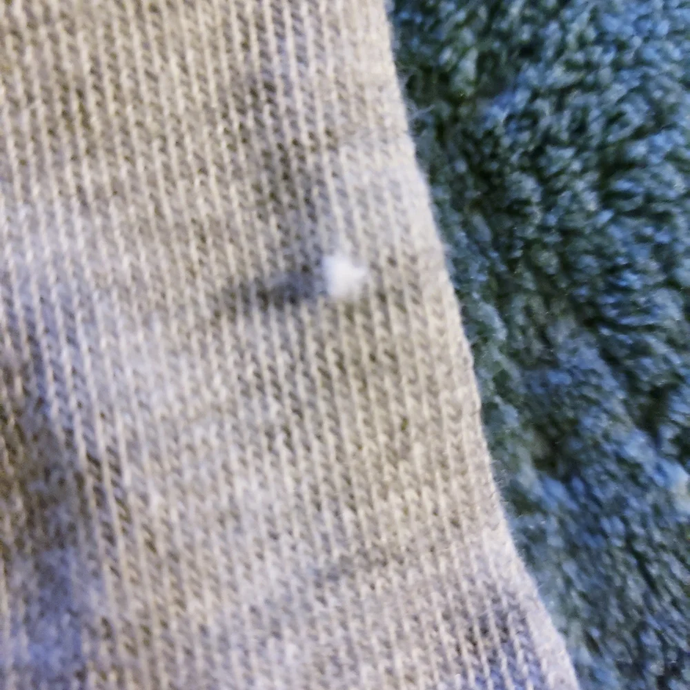 ❗️SOLD❗️Jurassic Park 'We Are Being Hunted' Socks. NWT. - Picture 3 of 6